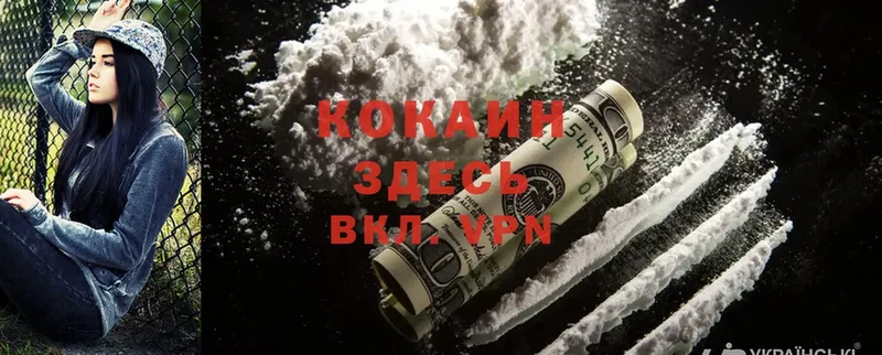 Как найти наркотики Нарткала Cocaine  Каннабис  Alpha PVP  АМФЕТАМИН  Галлюциногенные грибы  ГАШИШ  Меф мяу мяу 